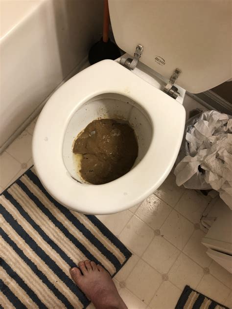 poop in pussy|Shit Filled Pussy